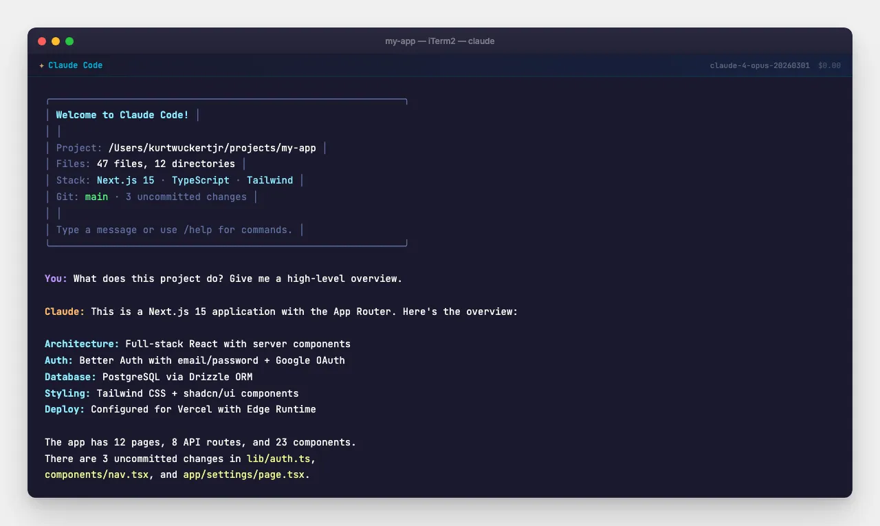 Claude Code first run — project detection, stack identification, git status